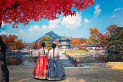 Ostasien - Discover South Korea & Japan: Nami Island, Mount Fuji, Samurai Experience, Matcha making and more! - JoinMyTrip