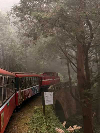 Taiwan - Chiayi City - 🇹🇼 Taiwan by Rail: 16 Days of Cherry Blossoms, Culture, & Coastal Views 🏮 (PRIVATE ROOMS) - 2
