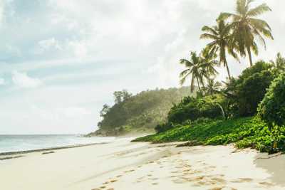 Seychelles - Anse Reunion - Discover the Magical Seychelles Islands - 2
