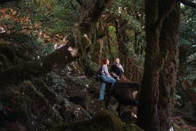 Portugal - Fanal Forestry Station - Modern, Spacious & Beautiful Coliving Villa in prime location - Funchal, Madeira | Adventure, Nature and Fun on the Dream Island of Madeira 🌴 | Large Private Suite with Bathroom and Balcony - 2