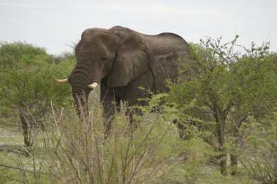 Südafrika - Albertinia - 🌞Ultimate 10-Day South Africa Road Trip🇿🇦Cape Town & The Garden Route – 🌊Adventure, Nature & Epic Vibes! - 2