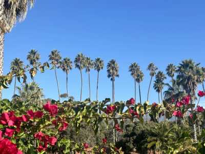 Vereinigte Staaten - Santa Barbara - Health and Wellness Trip in SoCal - 3