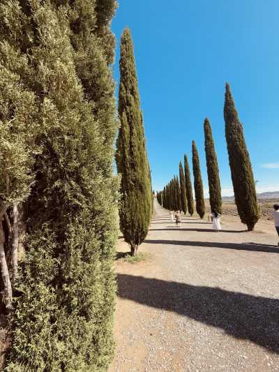 Italien - Castiglione d'Orcia - Thermal Trip 🧖‍♀️ in Tuscany - NOVEMBER - 2