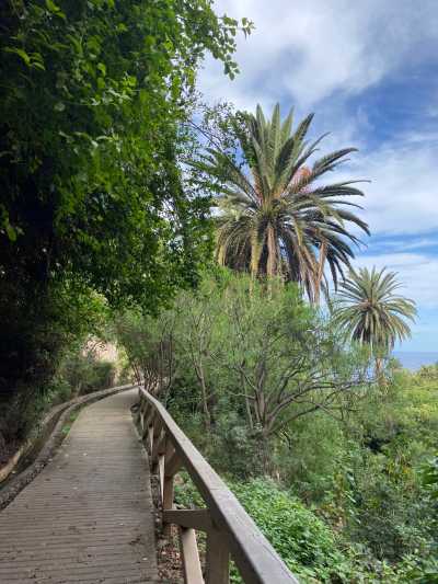 Spanien - Puerto de la Cruz - Escaping the winter ☀️ Coworking, Hiking and Dancing Bachata/Salsa/Kizomba 💃 - 3