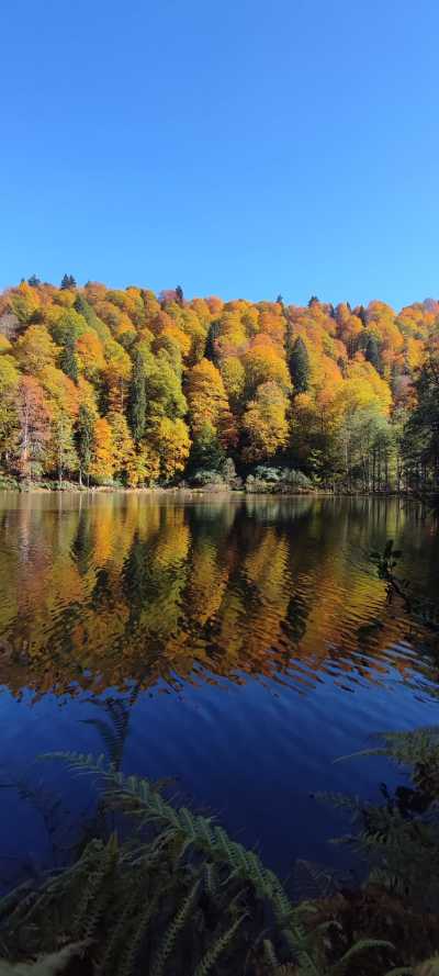Türkei - Borçka Karagöl Nature Park - Türkiye's Alps: Trabzon, Rize and Artvin - 4