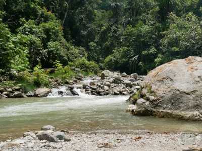 Indonesien - Ketambe Trek & Orangutan Explore - 🇮🇩 Indonesien Wildes Sumatra - 15 Tage einzigartige Orang Utan Abenteuerreise 🏞️🐒🌿🏝️ - 2