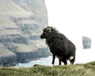 Färöer Inseln - Faroe Islands Fantasy: A Journey Through Untouched Beauty and Nordic Charm - JoinMyTrip