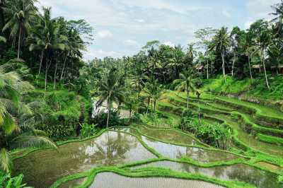 Indonesien - Cretya Ubud - Bali Adventure Odyssey: 11 Days of Thrills, Nature & Pure Outdoor Bliss