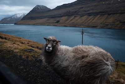 Faroe Islands - Tórshavn - Faroe Islands: Adventure at the Edge of the World - 2