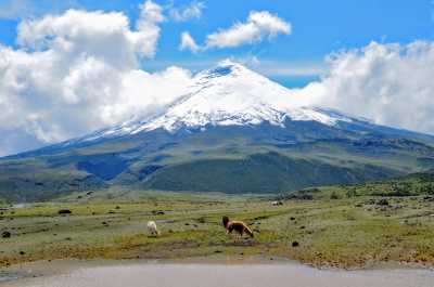 Ecuador - Cotopaxi - Enjoy Quito, Ecuador: Cable Cars with Stunning Views, Horseback Ride Around Volcanoes, Swim in Hot Springs,Taste Ecuadorian Chocolate and More! - 1