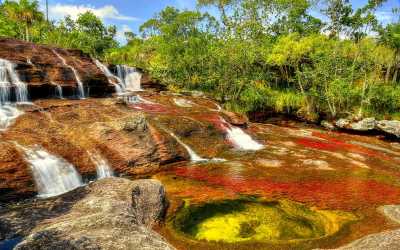Colombia - Caño Cristales - 4 Days Caño Cristales: Colombia's River of Five Colors