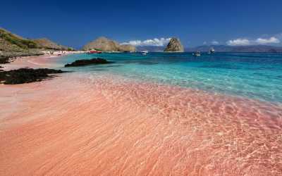 Indonesia - Labuan Bajo - Sailing adventure: Komodo Island, pink beach, snorkling, padar island with local