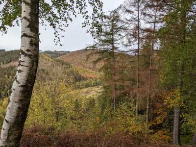 Germany - Bad Harzburg - Wanderzeit im Harz mit Brocken-Tour, Deutschland - 3
