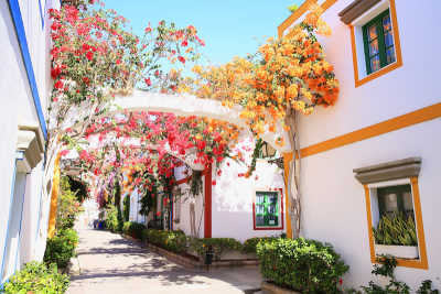 Spain - Firgas - Gran Canaria - Coworking/Coliving 🧑‍💻🏝 - Shared Room (2P-Zimmer) - 1