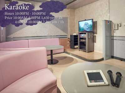 Japan - KAMENOI HOTEL HIKONE - 🍜 The Golden Route Reimagined: 14 Nights Through Osaka, Kyoto, Hikone & Tokyo 🎎 (PRIVATE ROOMS) - 3