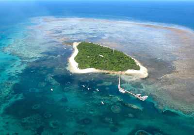 Australien - Green Island - 🌴🪸 Daintree to Great Barrier Reef: A Co-Working Retreat in Port Douglas, Australia 🐠🇦🇺 - 2