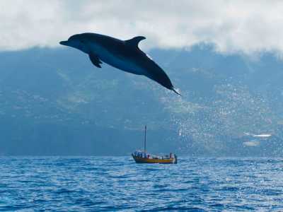 Portugal - Funchal - Madeira  SPECIAL ADVENTURE - off the beaten path - 2