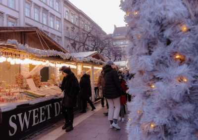 Hungary - 🕯️ Romantischer Winter-Kurztrip: Weihnachtsmarkt-Zauber & Wellness🎄♨️ - JoinMyTrip