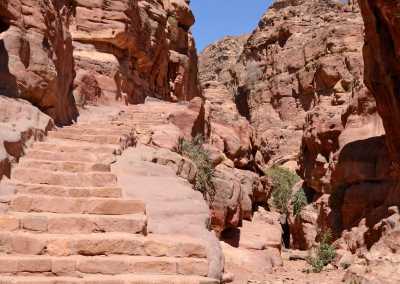 Jordanien - Petra, Jordan - 🇯🇴 Roadtrip Through Jordan: Ancient Cities, Desert Skies & Dead Sea 🏜️🌌 #NotAnotherRetreat - 3