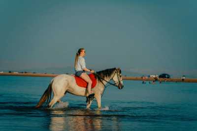 Egypt - Hurghada - Egyptian Escapade: Exploring Hurghada, Cairo, and Luxor - 2