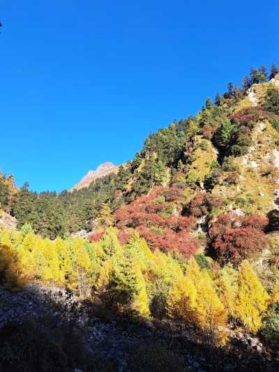 Nepal - Deng - Manaslu Wilderness Trek – Explore the Remote Himalayas in 15 Days - 4