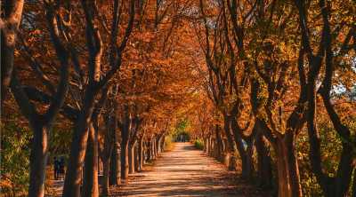 Korea, Süd - Gyeongju-si - 🇰🇷 Korea in Color: An Autumn 🍁 Journey of Palaces ⛩️, Peaks 🏔 & Portraits 📸 - 3