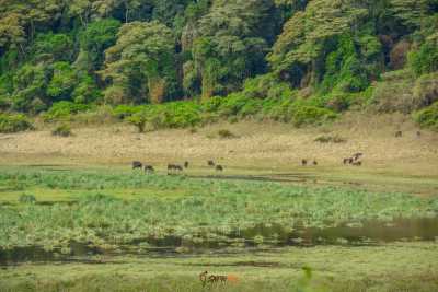 Kenya - Marsabit - CHALBI DESERT ADVENTURE - 4