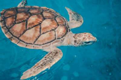 Malaysia - Port Dickson - Explore Amazing Kuala Lumpur, Malaysia with a Local and Travel Photographer - 1