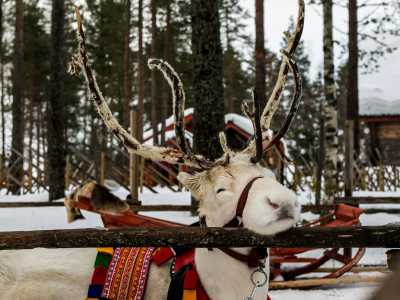 Finnland - Rovaniemi - Finnland: Von Helsinki bis Rovaniemi - Nordlichter, Husky Tour, Santa Claus & Polar Express