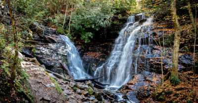 United States - Soco Falls - 🍝 All-inclusive Luxury Smoky Mountain Cabin Escape (PRIVATE ROOM) 🏔