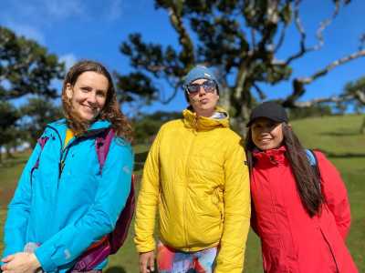 Portugal - Fanal Forest - 🏝️Ultimate winter escape in Madeira ☀️ Canyoning tour, hikes and more 🌊 - 3