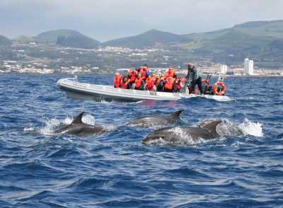 Portugal - Praia da Viola - Azores Adventures: Uncover São Miguel’s Secrets with a Portuguese Guide! 🌋🌊 - 1