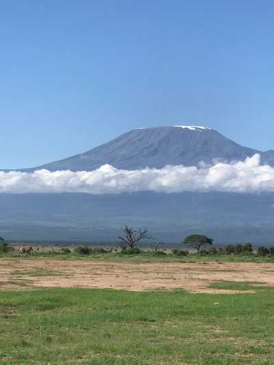 Kenia - Amboseli National Park - Kenyan Wonders Safari: All inclusive Maasai Mara, Lake Nakuru, Amboseli and Nairobi Adventure - 4