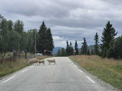 Norwegen - Nordseter - Summer in Norway: A week Full of Nature, Hiking and Other Outdoor Activities