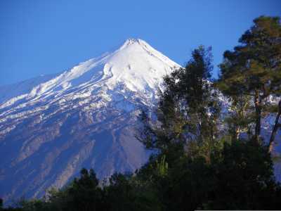 Spain - Tenerife South Airport - Sun, Nature and Soul  ✨-  A Relaxed Tenerife Journey from South to North