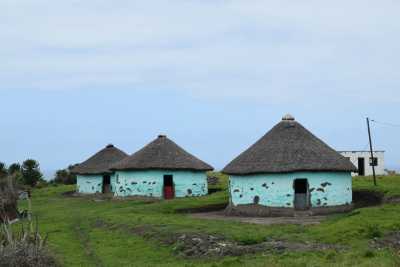 Südafrika - Albertinia - 🌞Ultimate 10-Day South Africa Road Trip🇿🇦Cape Town & The Garden Route – 🌊Adventure, Nature & Epic Vibes! - 12