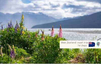 Neuseeland - Tekapo - 🇳🇿🗺 Entdecke die Geheimnisse Neuseelands 🗺🇳🇿 - 1