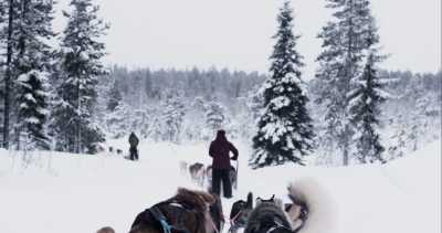 Nordeuropa - Rovaniemi - Northern Lights and Lapland Arctic Adventure! ❄️ Finland and Norway Social Trip ❄️ 2025 - 2