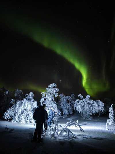 Sweden - Lannavaara - Wild North Expedition Above The Arctic Circle - Snowmobiling, Northern Lights & Dog Sledding - 1