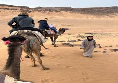 Morocco - Zagora - 🎬 Hollywood of Africa & Marrakech & Sahara Escape – 6 Days from Casablanca to the Desert 🐫✨ - 5