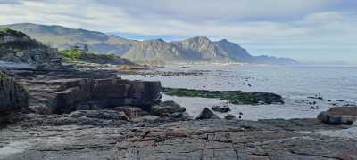 Südafrika - Swellendam - 🌞Ultimate 10-Day South Africa Road Trip🇿🇦Cape Town & The Garden Route – 🌊Adventure, Nature & Epic Vibes! - 2