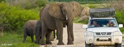 Subsahara-Afrika - Namibia, Botswana, and Zimbabwe Safari trough Africa - JoinMyTrip