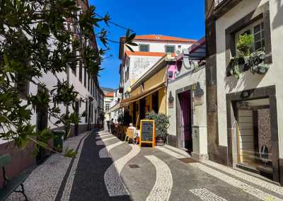 Portugal - Funchal - 🌅 The Hawaii of Europe: MADEIRA! 🌤️ Private Authentic Thatched Farm Villa, Hiking, Wine Tasting, Beaching and Vibes!! - 3
