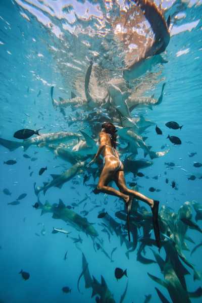 Maldives - Maldives Off the Beaten Path – Dive into this destination like never before. Local concert, food experiences, unforgettable beaches, snorkeling with sharks, stingrays, dolphins and turtle - JoinMyTrip