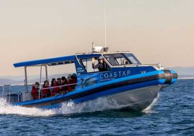 Australia - Swansea - 🐋 Winter Waves & Creative Days: A Co-Working Escape to Newcastle, Australia 🇦🇺 - 3