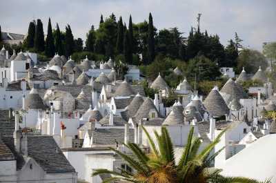 Italien - Alberobello - PUGLIA Hidden Gems: live in a real Trullo, discover Alberobello, explore the Stone City, enjoy amazing Italian food and so much more! - 4