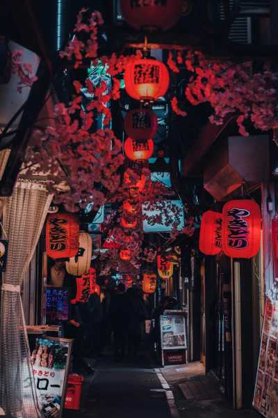 Japan - Shinjuku City - 🍜 The Golden Route Reimagined: 14 Nights Through Osaka, Kyoto, Hikone & Tokyo 🎎 (PRIVATE ROOMS) - 1