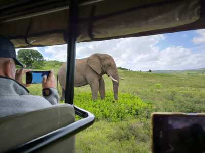 Südafrika - Albertinia - 🌞Ultimate 10-Day South Africa Road Trip🇿🇦Cape Town & The Garden Route – 🌊Adventure, Nature & Epic Vibes! - 16