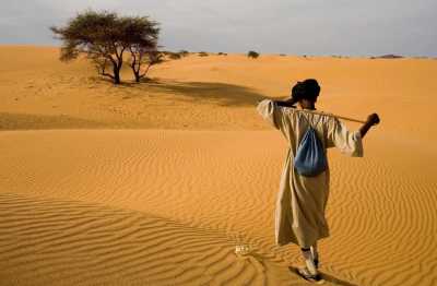 Mauritania - Banc d'Arguin National Park - To the Heart Of Mauritania: Sahara Dunes, Ancient Cities & Atlantic Coast Photography Trip