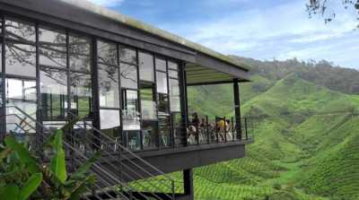 Südostasien - Cameron Highlands - 🇹🇭🇲🇾 Entdecke Thailand & Malaysia - Von Bangkok nach Kuala Lumpur - 16d Streetart & Strand, Natur & Food🚂🛕🕌🏝️🍜 - 3